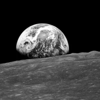 IBM-NASA Prithvi Models Family's profile picture